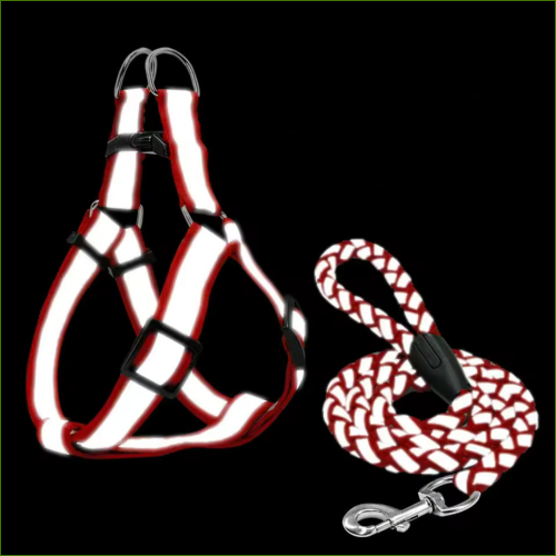 Baudrier pour chien réfléchissant avec laisse assortie