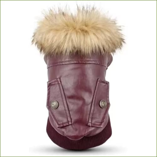 Blouson En Cuir Pour Chien Modèle Doublée Polaire Design Aviateur Bordeau / S