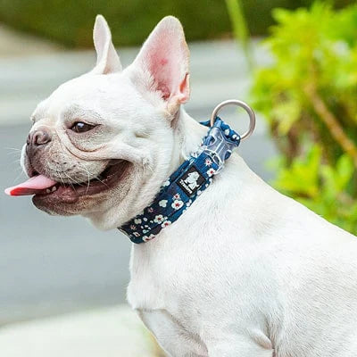 Bouledogue Français portant le collier floral