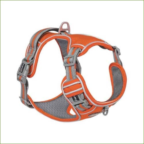 Harnais pour chiens Anti Traction régléble Adapté Aux Gros Chiens Rouge / S