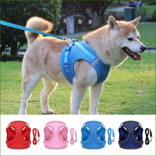 Harnais Chiens Pas Cher