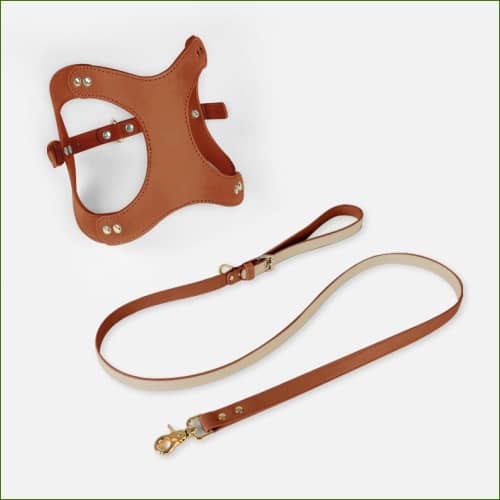 Ensemble Marron / Xs