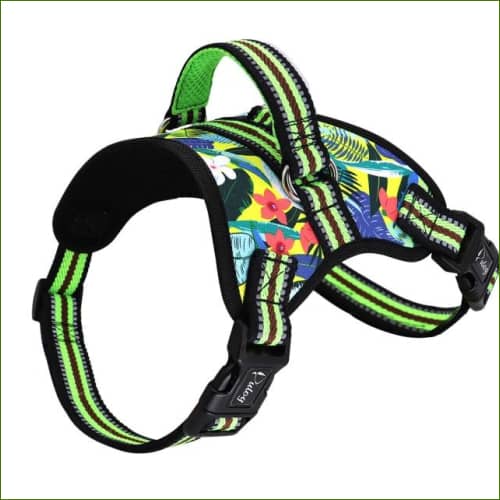 Harnais de promenade pour chien MIDOG Vert / Xl