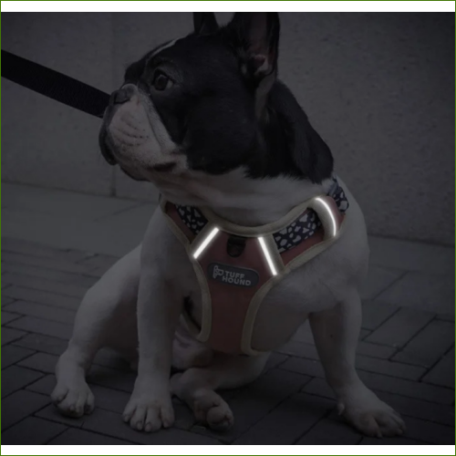 Harnais réfléchissant