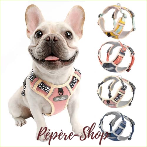 Harnais design fantaisie unique et coloré pour chiens -PEPERE SHOP