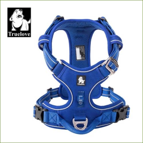 Harnais en nylon TRUE LOVE Bleu royal / M