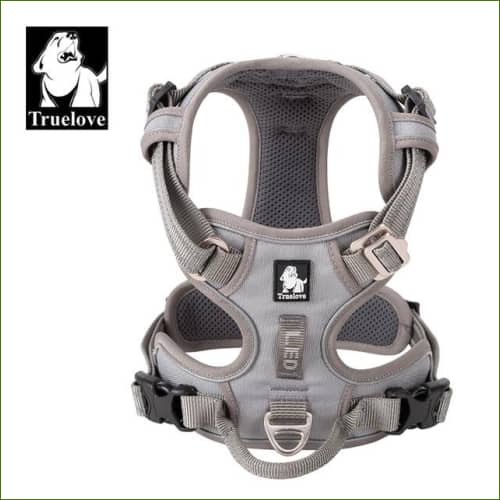 Harnais animal de compagnie TRUE LOVE GRIS / XL