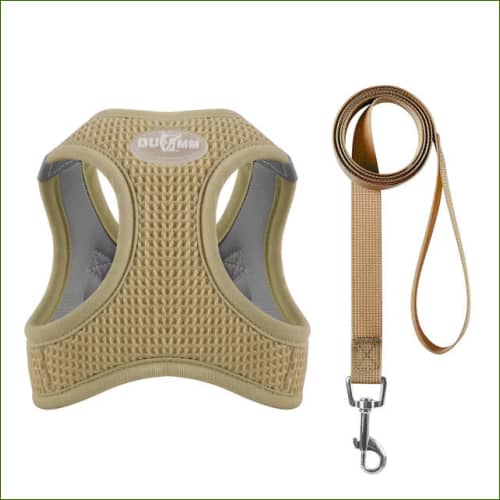 Harnais Fantaisie - Modèle Ergonomique Avec Laisse Assortie Marron / Xxs