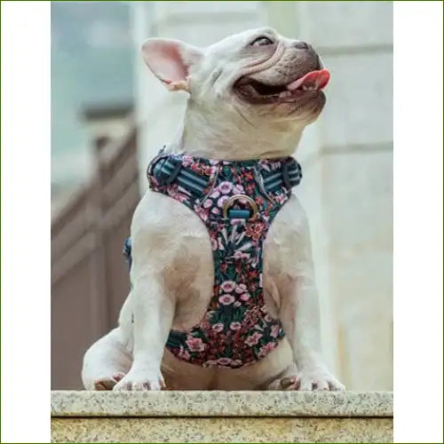 Harnais Flower série spéciale - modèle navy