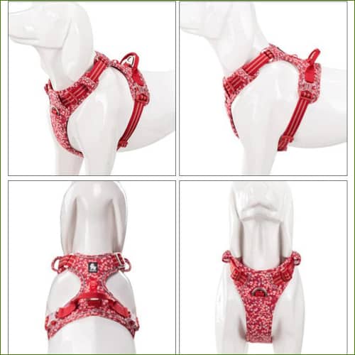 harnais anti traction FLOWER