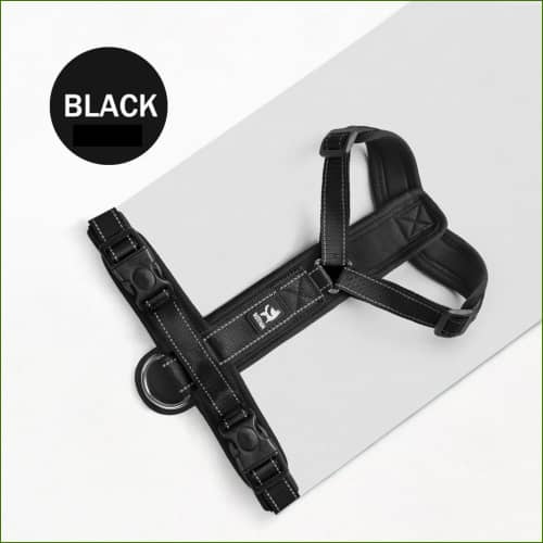 Harnais couleur noir