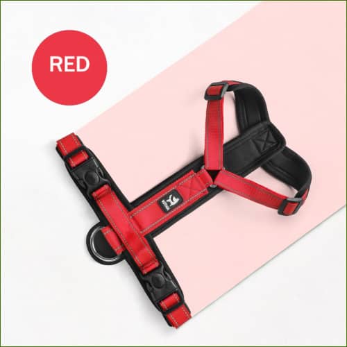 Harnais couleur rouge