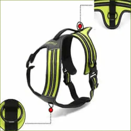 Harnais modèle FOREST pour grand chien double attache