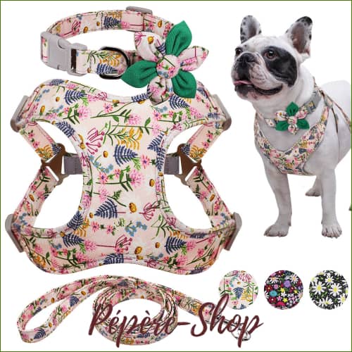Harnais Petit Chien En Nylon Coloré Avec Collier Et Laisse Assortis