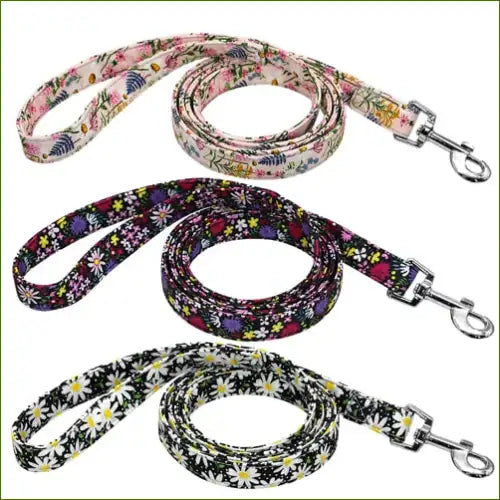 Détail des laisses assorties