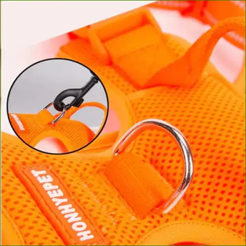 Harnais pour berger australien avec attache de laisse en acier