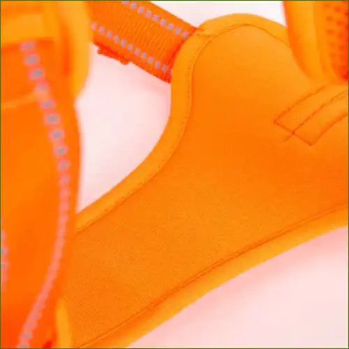 Harnais pour berger australien rembourré