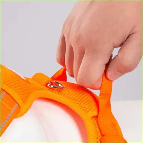 Harnais pour berger australien avec poignée