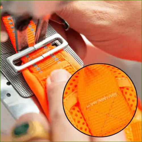 Harnais pour berger australien robuste et renforcé