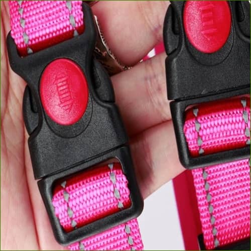 Harnais pour Boxer avec verrouillage par boucle rapide