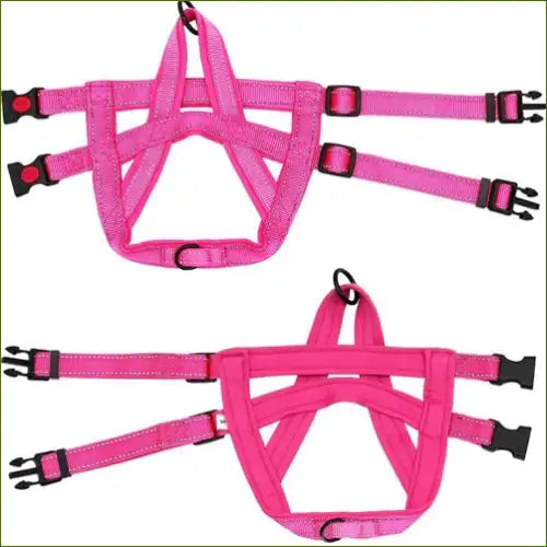 Harnais pour Boxer facile à mettre en place