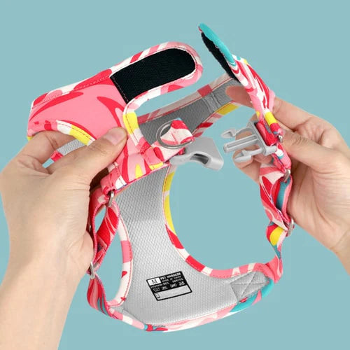 Harnais coloré facile à mettre en place