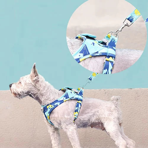 Détail du harnais porté par un chien de moyenne taille