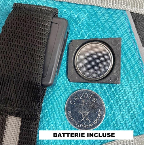 Détail de la batterie