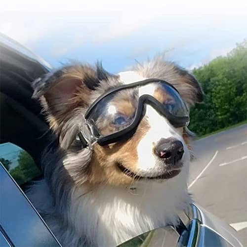Lunettes De Soleil Canines Ajustables Et Stylées