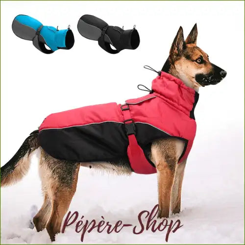 Manteau pour berger allemand doublé et moderne