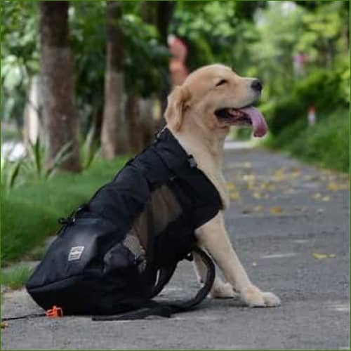 Sac pour gros chien en nylon solide