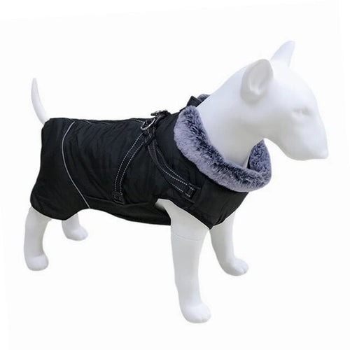 Veste grand chien imperméable avec harnais