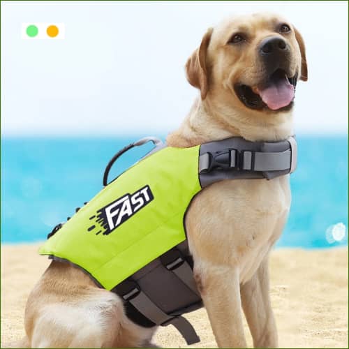 Veste De natation Pour Chien