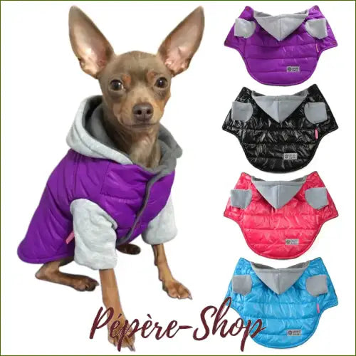 Veste Manche Courte À Capuche pour chihuahua