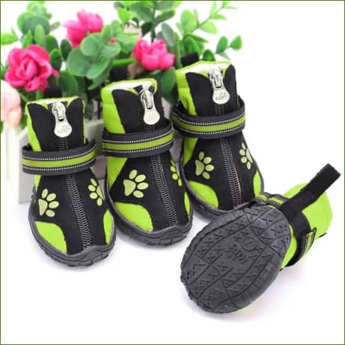 Bottes Pour animaux - Lot De 4 Pièces Vert / 8