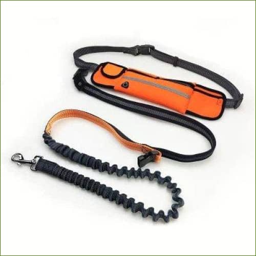 ceinture pour courir avec son chien couleur Orange