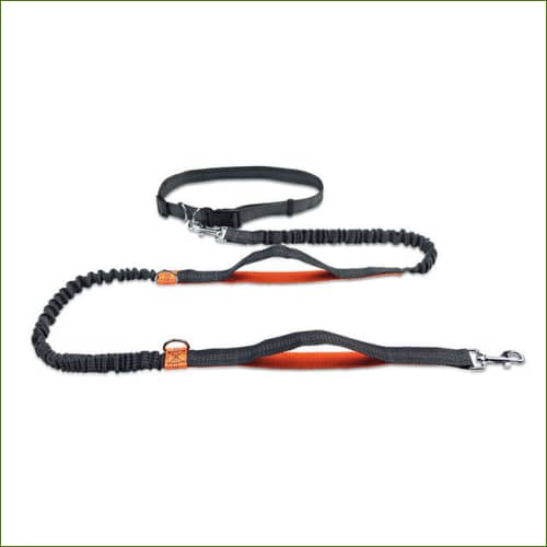 Ceinture Laisse Orange