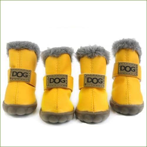 Bottes Chihuahua Fourrées Jaune / Xs