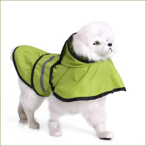 Vêtement de pluie Pour Chien Réfléchissant Avec Capuche Vert / Xs