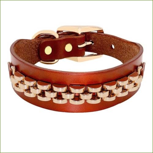 Collier cuir de luxe pour chien Motif 2 / M