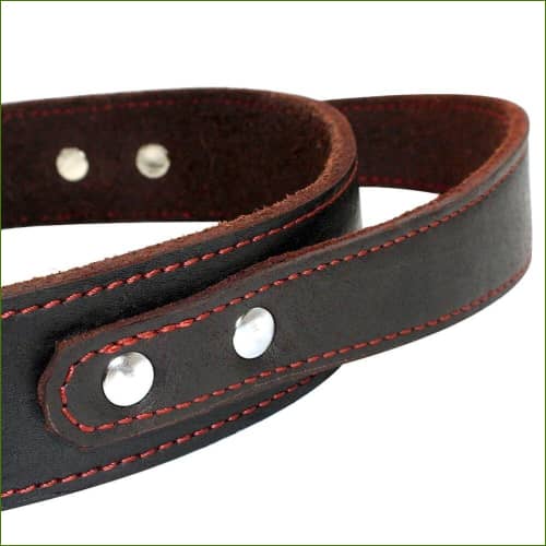 Collier en cuir pour gros chien: détail de la poignée