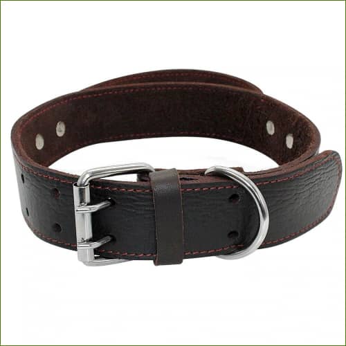 Collier avec poignée pour chien: détail du cuir