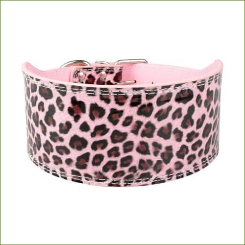 Colliers canins larges - 7.5Cm Motifs Originaux Leopard / M