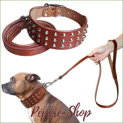 Collier Cuir Large Et Épais pour chiens Avec Pointes Décoratives En Acier Sa Laisse Assortie