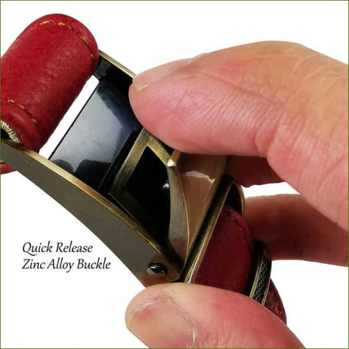 Collier en cuir pour chien avec rembourrage et boucle à dégagement rapide