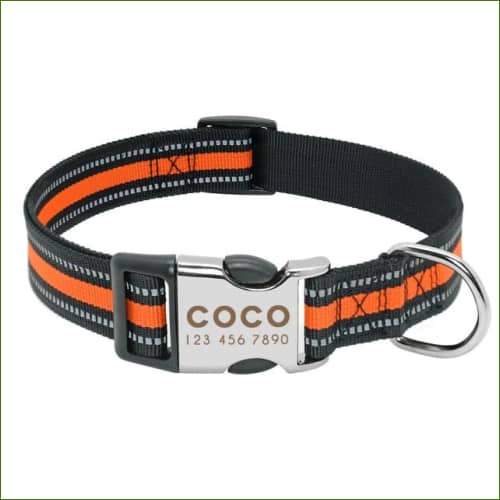 Collier Fluo Gravé Pour Chien Midog Orange / L