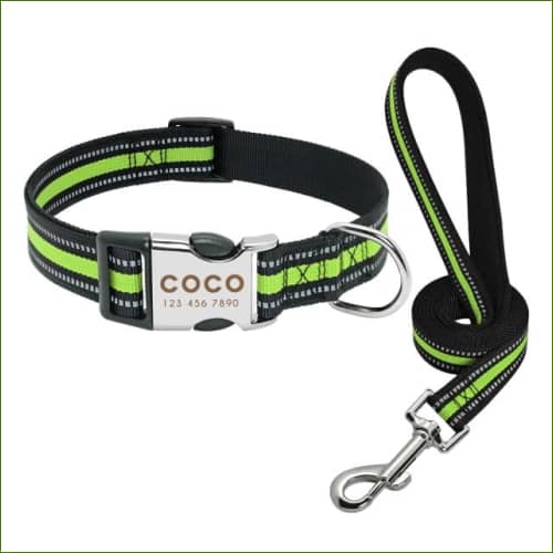 Collier Fluo Gravé Pour Chien Midog Vert Avec Laisse / L