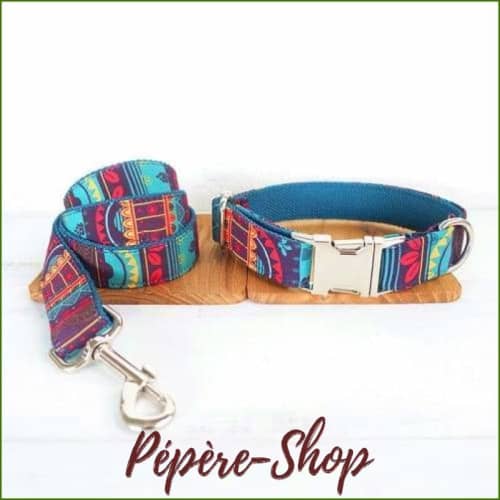 Collier luxe pour chien design coloré et inédit - -PEPERE SHOP