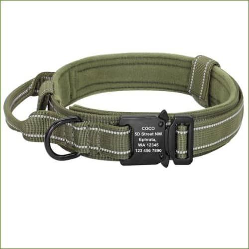Collier personnalisé grand chien Vert / Xl