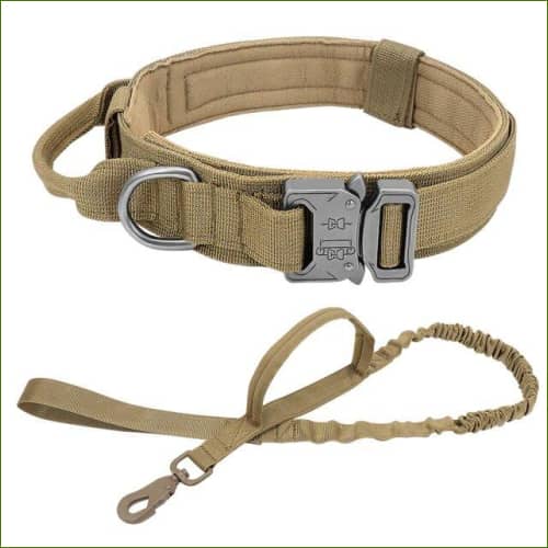 collier militaire pour chien Vert / M